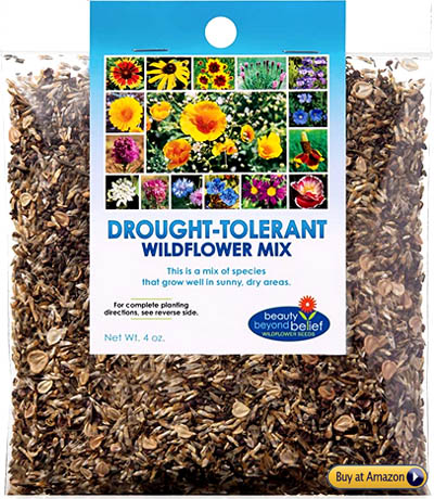 Drought Tolerant Wildflower Mix