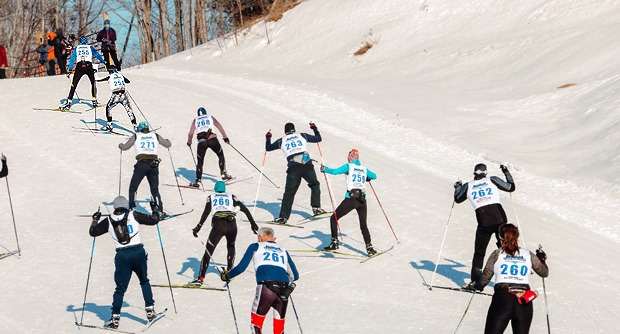 cross country ski racers