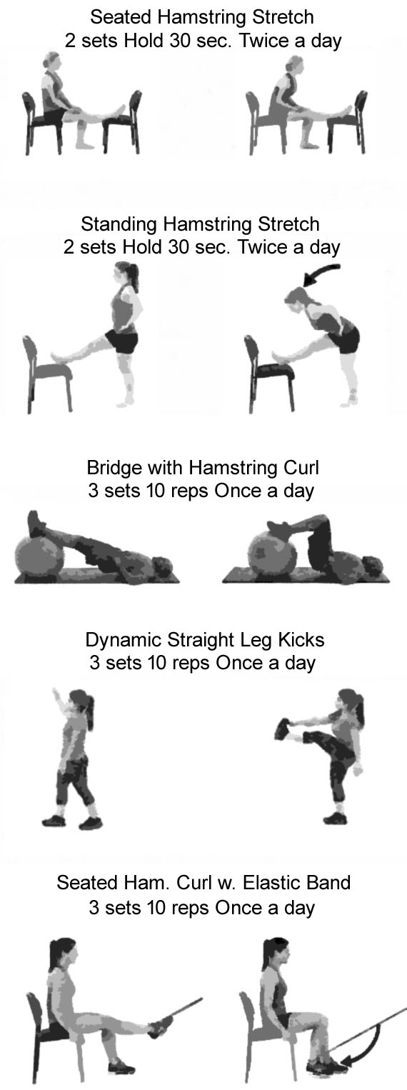my hamstring exercises