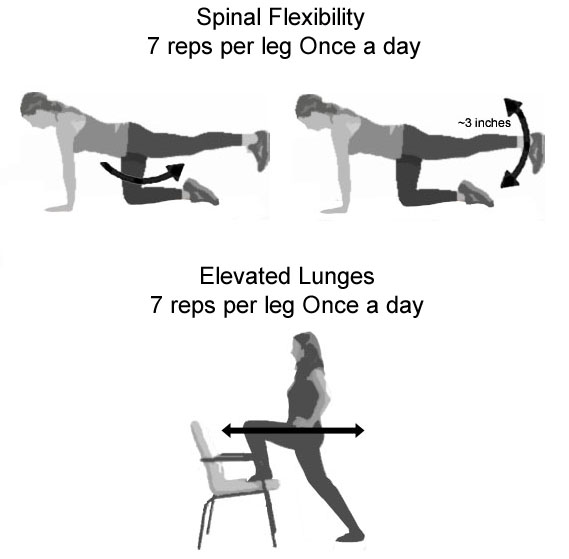 lumbar exercises for cross country ski training