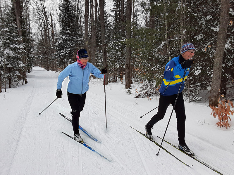cross country skiers