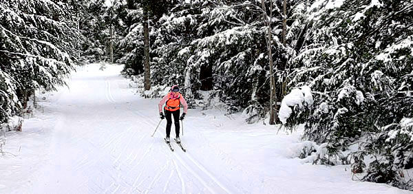 cross country skiing