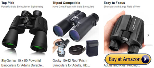 bird watching binoculars