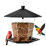 For The Birds