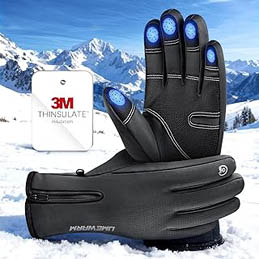 Ski Gloves