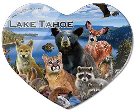 Lake Tahoe souvenirs