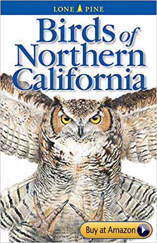 Birds of Northern California book