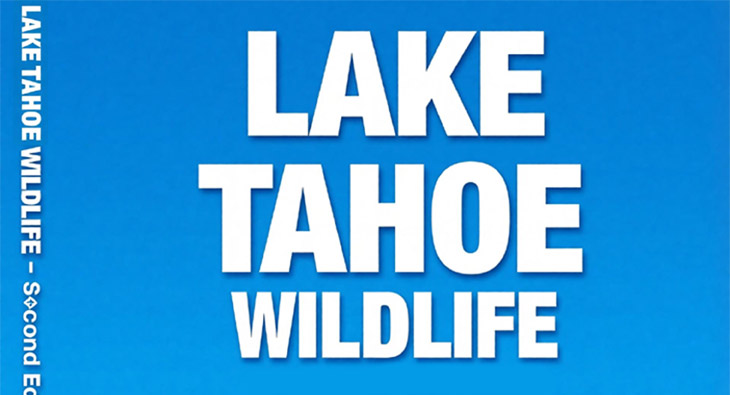 Lake Tahoe Wildlife Guide