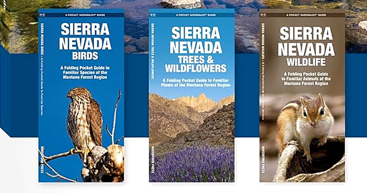 Sierra Nevada Adventure Set of 3 Guides