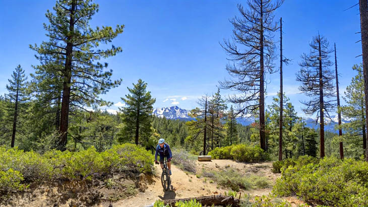 Tom Aufrance mountain biking at Lake Tahoe