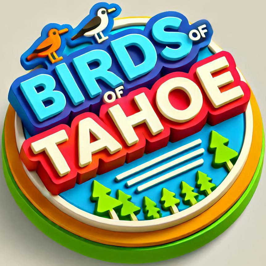 Birding at Tahoe Series